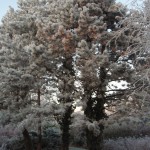 Wintertuin zomerhuis Westenschouwen