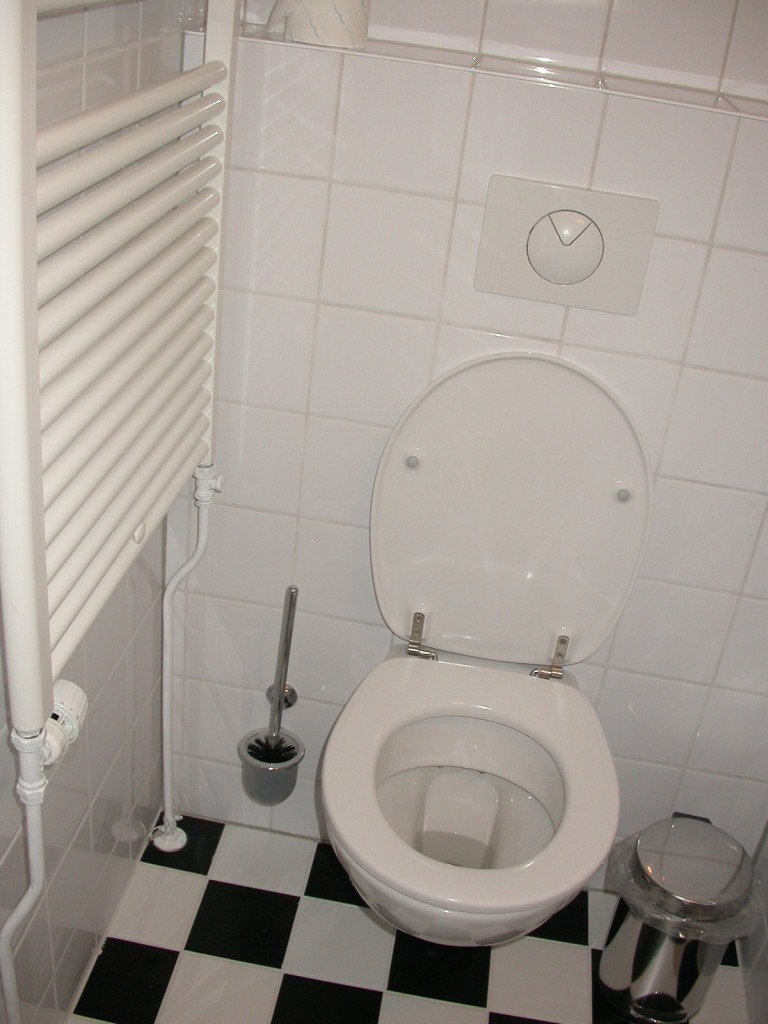 Badkamer zomerhuis Westenschouwen, toilet.